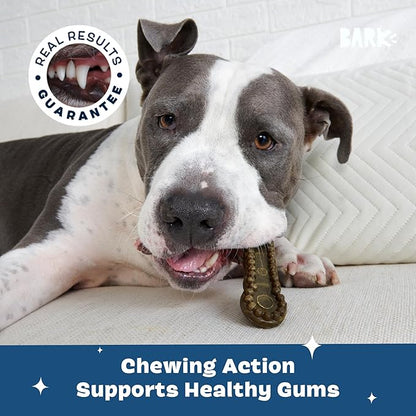 Barkbox Bright Durable Dental Chew Sticks for Dogs - 15 Chews Made for Tough Chewers, Large Breeds