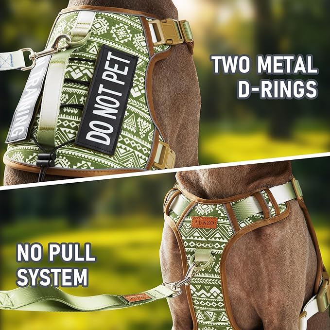 Light Dog Harness for Small Sized Dog Breeds, No Pull Pet Harness with 2 Leash Clips, Adjustable Soft Padded Dog Vest, Reflective Pet Oxford Vest, Puggle, Terriers, Beagle, Green Ethnic, Small