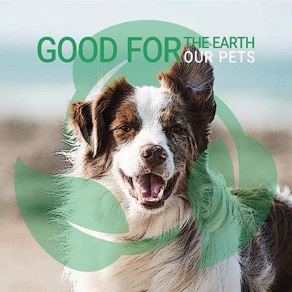 Green Groom White Dog Shampoo, 1 Gallon - All Natural Ingredients, Chamomile Extract, Infused with Coconut Oil and Protein, Soap and Cruelty Free, Restores Coat's Natural Shade