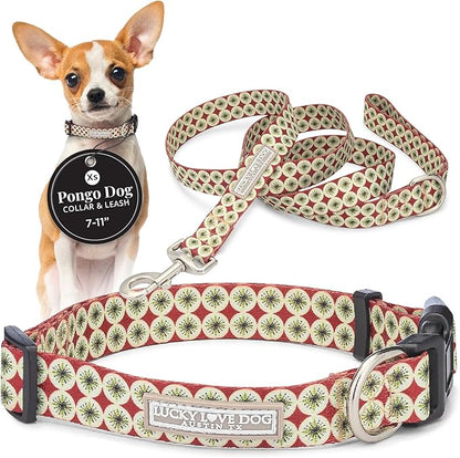 Lucky Love Dog - Easy Click Buckle Dog Collar with Leash Set Combo, Durable & Comfortable for Male & Female Dogs, Pet Collar for Small Dogs, Secure Fit - Pongo Combo, XS