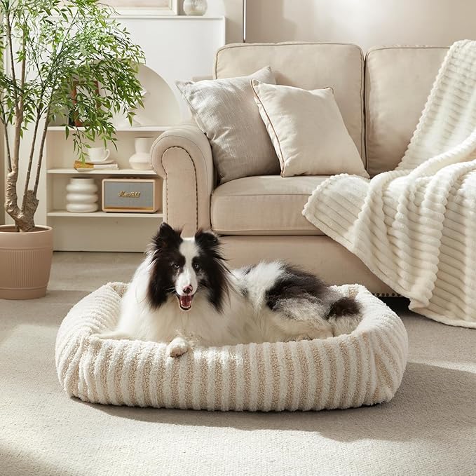 MIXJOY Dog Beds for Small Dogs Cats, Washable Dog Bed with Removable Cover, Soft Calming Cat Bed for Indoor Cats, Rectangle Pet Sofa Bed for Puppy Kitty, Anti-Slip Bottom,20"x19"x6", White