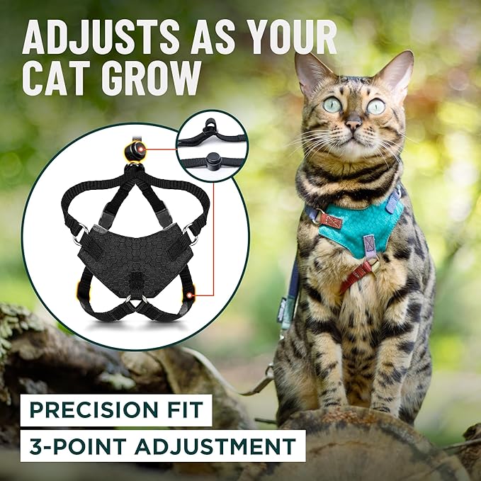 Houdini™ Escape Proof Kitten Harness and Leash Set by OutdoorBengal – Orange, Small Cat Harness for Walking