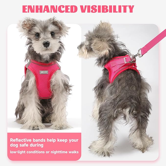 Bolux Dog Harness Small Sized and Leash Set, Step in Soft Light Puppy Vest, Breathable Mesh Pet Harness, Reflective for Safe Easy Walking.