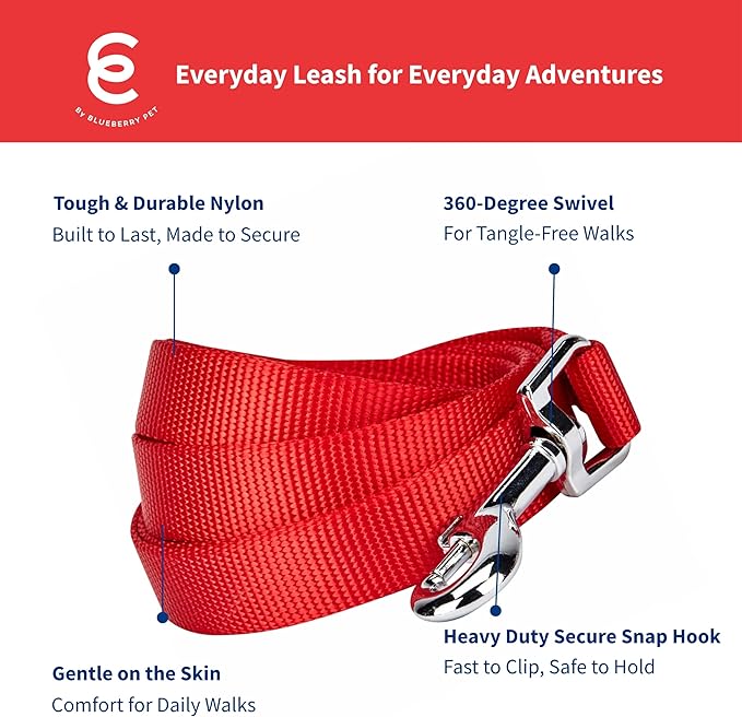 Blueberry Pet Essentials Rouge Red Dog Leash for X-Small -5' * 3/8" Dogs | Heavy Duty Nylon Lead | Lightweight Puppy & Cat Leash for Walking & Training