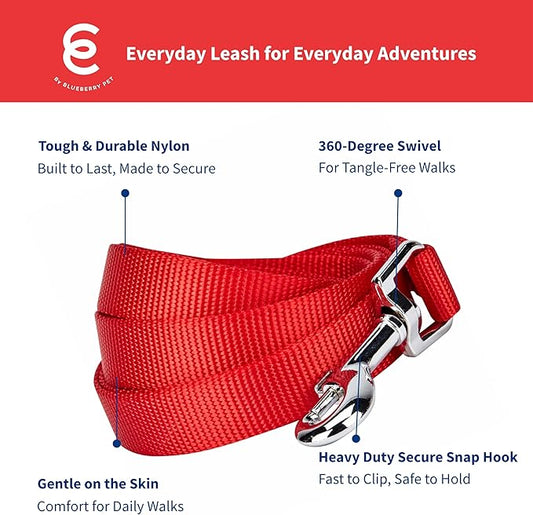 Blueberry Pet Essentials Rouge Red Dog Leash for X-Small -5' * 3/8" Dogs | Heavy Duty Nylon Lead | Lightweight Puppy & Cat Leash for Walking & Training