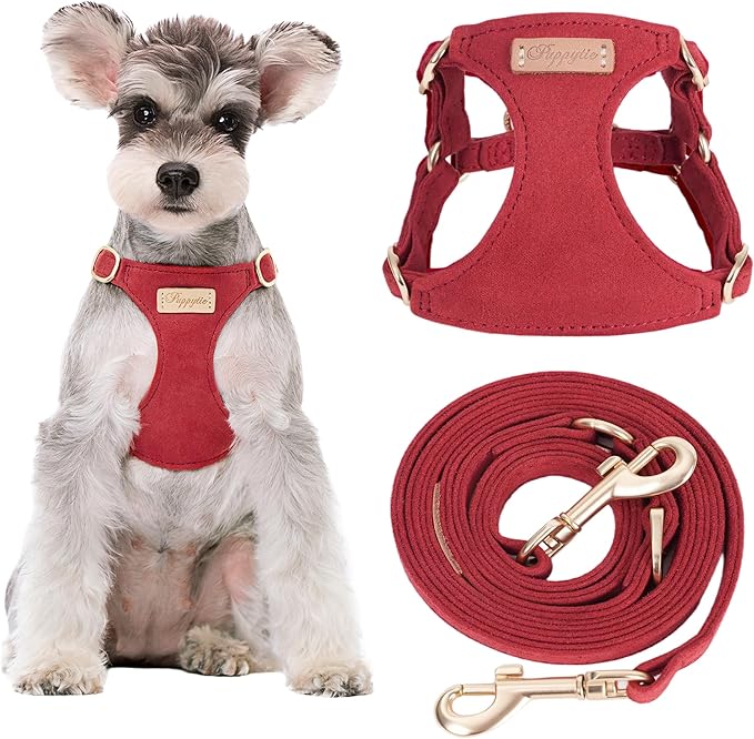 Puppytie No Pull Small Dog Harness with Multifunction Dog Leash,Lightweight Soft Adjustable No Choke Escape Proof Pet Harness Vest Pet Harness Vest,red Hawthorn,S