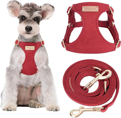 Puppytie No Pull Small Dog Harness with Multifunction Dog Leash,Lightweight Soft Adjustable No Choke Escape Proof Pet Harness Vest Pet Harness Vest,red Hawthorn,S