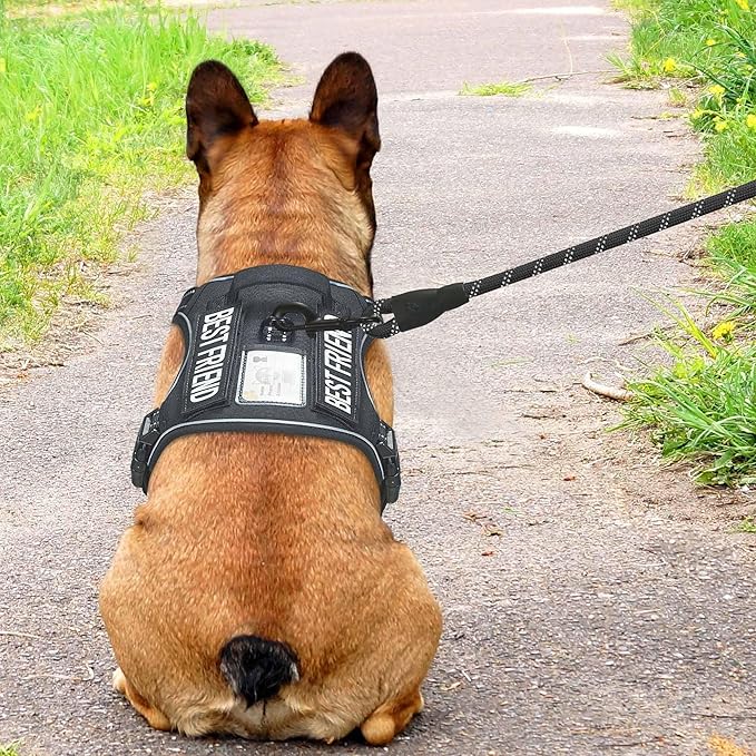 Beebiepet Heavy Duty Tactical Dog Harness for Small Dogs, No Pull Adjustable Pet Harness Reflective Service Training Easy Control Pet Vest Military K9 Working Dog Harnesses- Small, Black