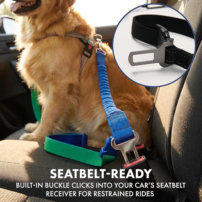 Spark Paws Handsfree Dog Leash – Shock Absorbing Waist Bungee Lead for Running, Car Seatbelt Clip & Poop Bag Set, Heavy Duty Tactical Lead for Medium, Large & X-Large Breeds - Black