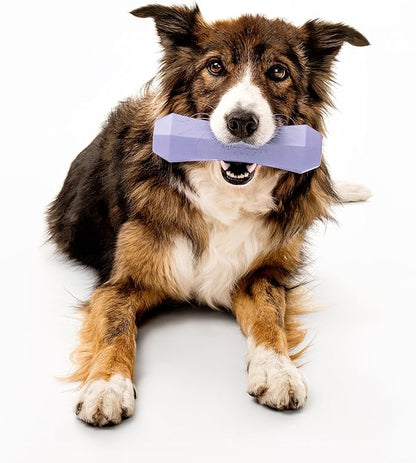 Playology Dog Toys | Durable Squeaky Chew Stick for Dogs | Jumbo Lamb Scented Toy - Easy to Clean and Made from Non Toxic Materials