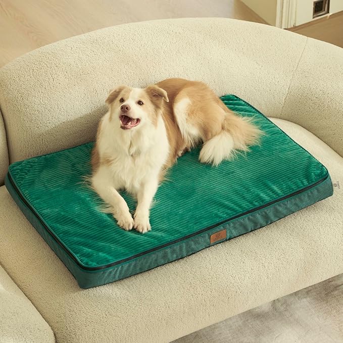LIORCE Memory Foam XL Dog Bed - 4” Thick Orthopedic Beds for Extra Large Dogs - Waterproof Dog Bed with Removable Washable Cover & Wrap-Around Zipper - Ultimate Comfort and Easy Maintenance, Green