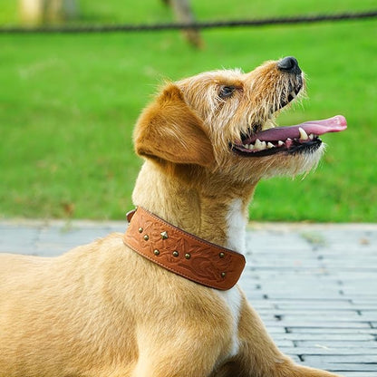 Blueberry Pet Premium Embossed Silver-Powered Freshness Microfiber Suede Leather Dog Collar in Saddle Brown