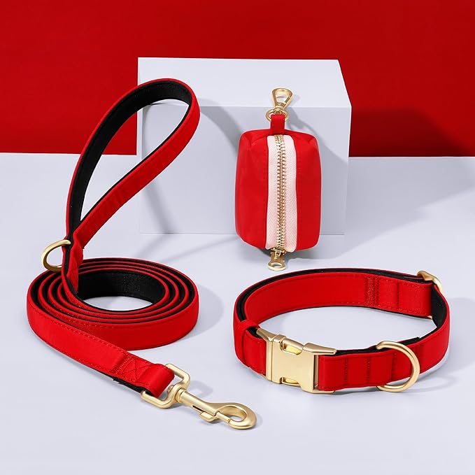 Didog 5FT Colorful Nylon Dog Leash with Soft Full-Length Padding, Lightweight and Durable Pet Leash for Medium and Large Dogs, Red, M