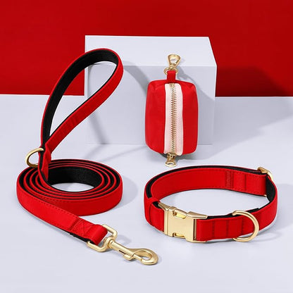 Didog 5FT Colorful Nylon Dog Leash with Soft Full-Length Padding, Lightweight and Durable Pet Leash for Medium and Large Dogs, Red, M