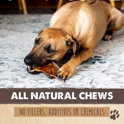Mighty Paw Half Pig Ears for Dogs - All Natural, Single Ingredient Treats. Better Than Rawhide Pet Snacks for Small and Large/Medium Pets. Pigs Ear Dogs Chews (12 Pack)