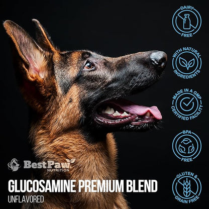 Best Paw Nutrition - Unflavored Liquid Glucosamine for Dogs & Cats - Chondroitin, MSM, Hyaluronic Acid - Dog Arthritis Home Remedy - Joint Supplement for Hip & Joint Pain Relief Pets Love - 32oz