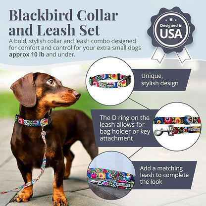 Lucky Love Dog - Easy Click Buckle Dog Collar with Leash Set Combo, Durable & Comfortable for Male & Female Dogs, Pet Collar for Small Dogs, Secure Fit - Blackbird Combo, X-Small