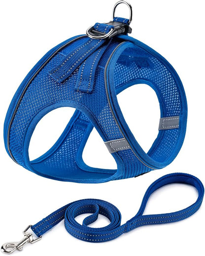 BOOMIBOO Dog Harness with Leash Set, No Pull Adjustable Reflective Step-in Puppy Pet Vest Harnesses for Small Medium Large Dogs and Cats,Blue M
