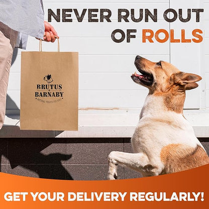 Premium Beef Cheek Rolls for Dogs 10-12" - (5-Pack) Long Lasting, Safe & Natural Rawhide Alternative Chews, Ideal for Large Dogs & Aggressive Chewers, Supports Dental Health & Digestion