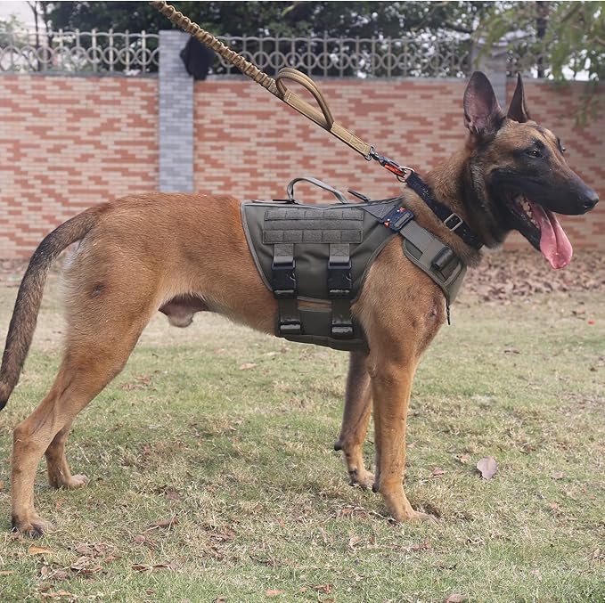 ICEFANG GN3 Tactical Dog Harness with 6X Buckle,Dog Molle Vest with Handle,3/4 Body Coverage,Hook and Loop Panel for ID Patch,No Pulling Front Clip (XL (32"-39" Girth), Ranger Green)