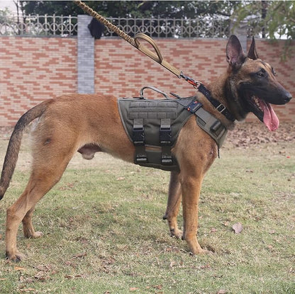 ICEFANG GN3 Tactical Dog Harness with 6X Buckle,Dog Molle Vest with Handle,3/4 Body Coverage,Hook and Loop Panel for ID Patch,No Pulling Front Clip (XL (32"-39" Girth), Ranger Green)