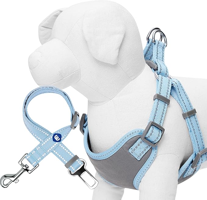 Blueberry Pet Pastel Colored Reflective Dog Harness with Seatbelt Clip – Adjustable No-Pull Pet Vest for Walking and Car Safety, Small Size in Baby Blue