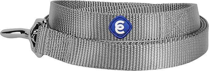 Blueberry Pet Essentials Flint Gray Dog Leash for Small -5' * 5/8" Dogs | Heavy Duty Nylon Lead | Lightweight Puppy & Cat Leash for Walking & Training