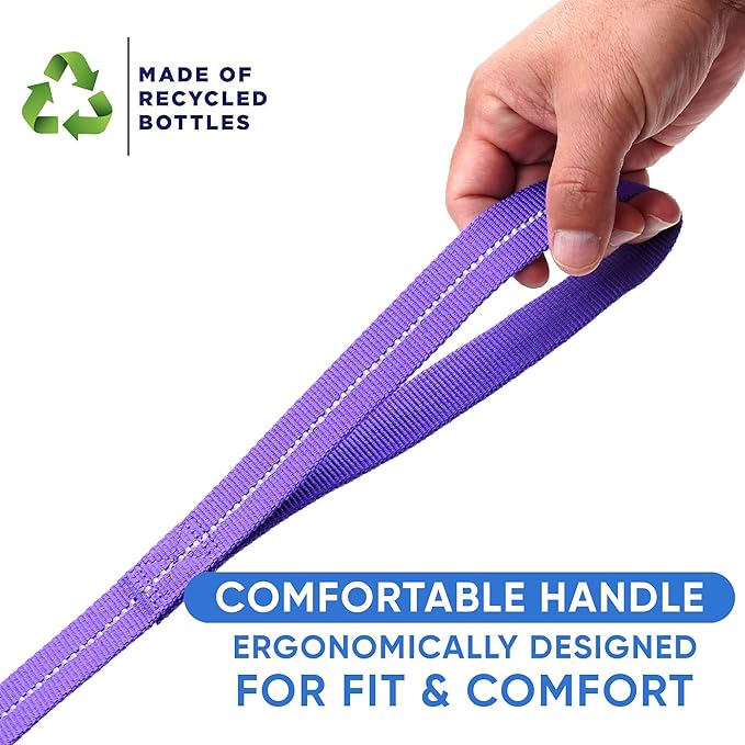 Pawtitas Purple Dog Leash 6 ft M/L Reflective Durable Lightweight Recycled Lead for Medium or Large Dogs and Puppies