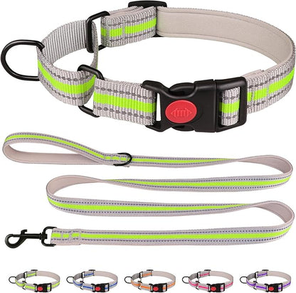 Martingale Collar for Dogs,Soft Neoprene Padded Reflective Martingale Collar and Leash Set Safety Buckle Nylon Martingale Dog Collars for Large Dogs(Green&L)