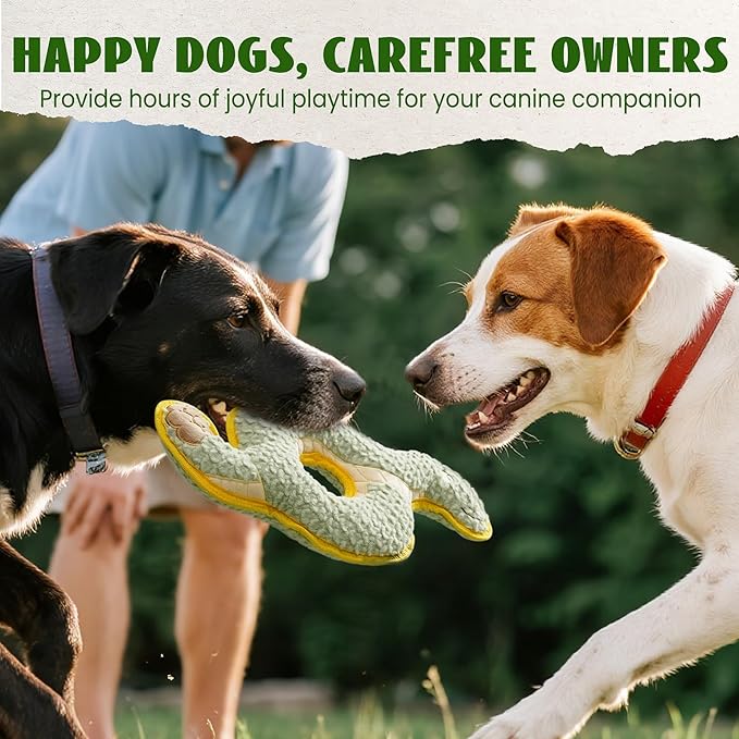 Nocciola Squeaky Dog Toy, New 2025 Ring Snake Dog Toy for Tug of War, Stuffed Toy with Two Tough Layers, Interactive Tug Training to Keep Them Busy, Green