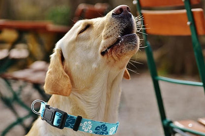 Dog Collar, Cute Floral Pattern, Soft and Adjustable Collar with Quick Release Buckle (L (Neck 16-28", Width 1"), Hawaiian Blue)