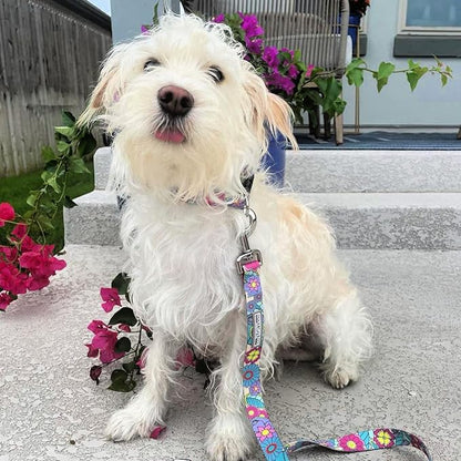 Lucky Love Dog Leash, Beautiful Flower Pattern Female Dog Leash for Large Dogs, Durable & Long Lasting (Caroline, Large)