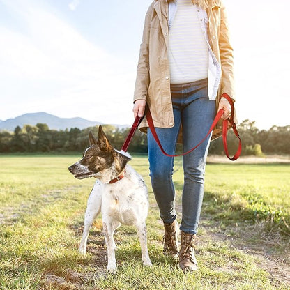 TwoEar 4FT 1IN Strong Red Dog Leash with 2 Padded Handles, Traffic Handle Extra Control, Comfortable Soft Dual Handle, Auto Lock Hook, Reflective Walking Lead for Small Medium and Large Dogs