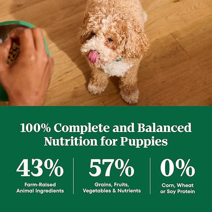 Nutro Natural Choice Adult Small Bites Dog Food, Salmon & Brown Rice Recipe, 28 lb. Bag