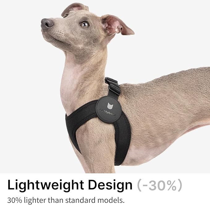 Ultra Comfortable Dog Harness Adjustable Soft Dog Vest, Alloy Buckle Closure Lightweight Stretchy Puppy Harness Step in for Small Sized Dogs Walking Training (Sierra Blue, XS)