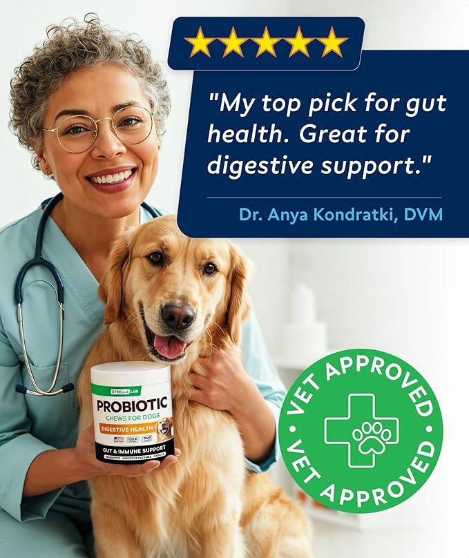 STRELLALAB Dog Probiotics Chews for Digestive Health & Gut Support with Yeast and Enzymes - Anti Gas, Diarrhea and Upset Stomach Immune Supplement - Digestion Treats with Fiber (180Ct, Bacon)