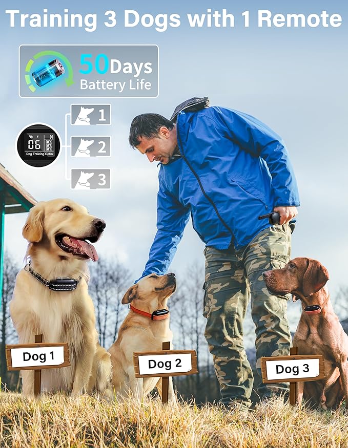 PaiPaitek Bark Activated Shock Collar with Remote - Automatic Bark and Training Collar Combo 3300ft Range, Bark Shock Collar for 40-150lbs Medium Large Dogs - IPX7 Waterproof