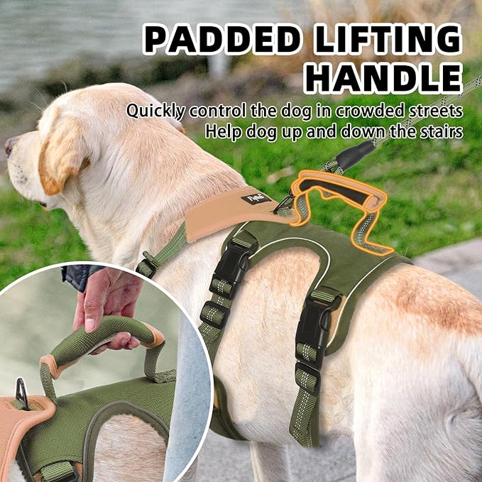 PUPTECK Escape Proof Dog Harness and Leash Set Upgraded No Pull Reflective Dog Vest with Lift Handle, Easy Control Pet Harness for Medium Large Dogs Training Walking Running, Green, M