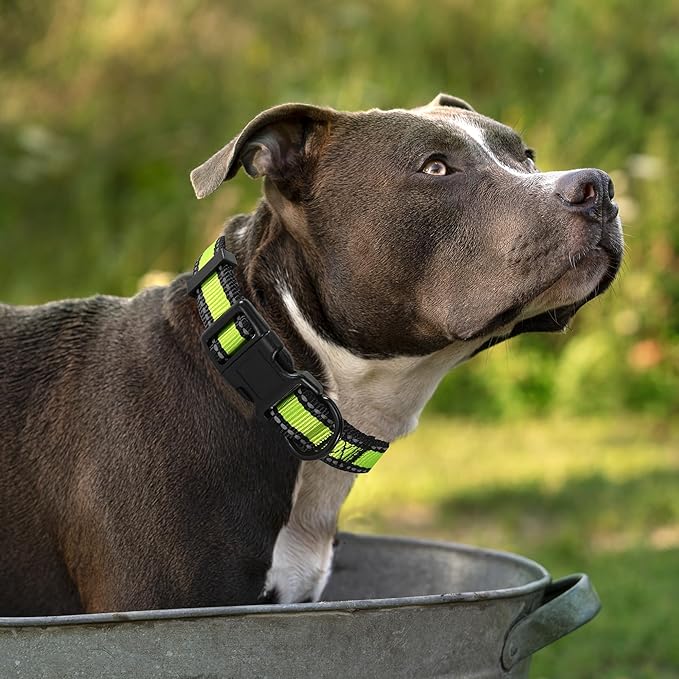 Mile High Life Dog Collar | Nylon Reflective Dog Collars | Light Weight Puppy Collars | Lime Green Dog Collars for Small Dogs (Lime Green, X-Small)