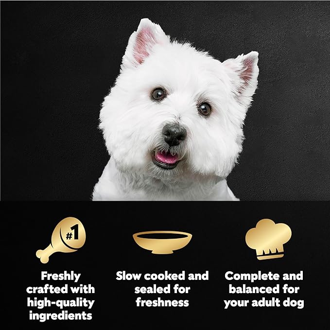 Cesar Filets in Gravy Wet Dog Food Rotisserie Chicken Flavor, Wet Food for Dogs, 1.76 oz. Mini-Pouches, 20 Count