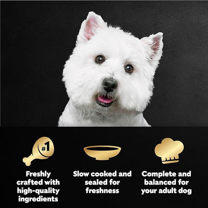 Cesar Filets in Gravy Wet Dog Food Rotisserie Chicken Flavor, Wet Food for Dogs, 1.76 oz. Mini-Pouches, 20 Count