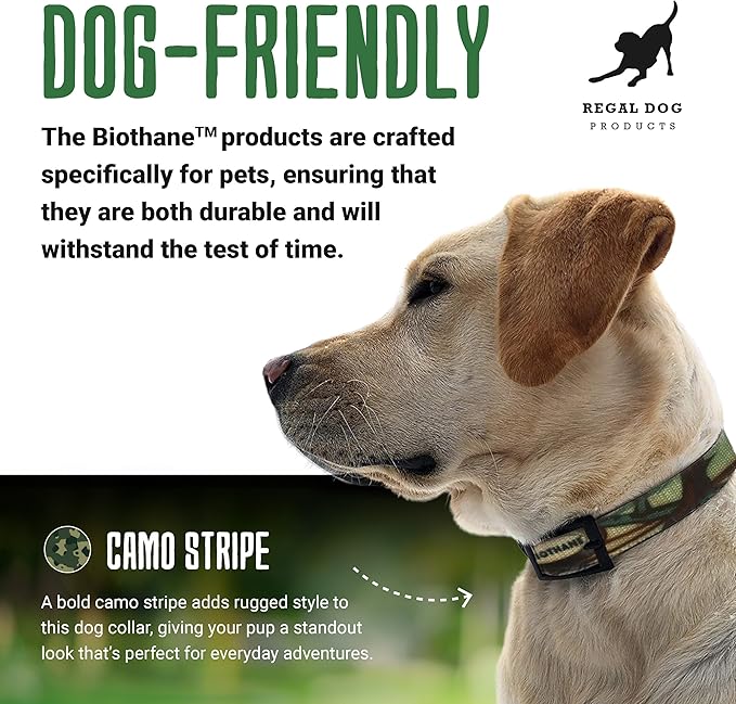 Regal Dog Products Waterproof Green Camo Hunting Dog Collar with Black Hardware | for Small, Medium, Large, or XL Dogs (Small)