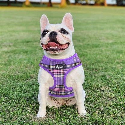 PUPTECK Soft Mesh Dog Harness and Leash Set Pet Puppy Cat Comfort Padded Vest No Pull Harnesses, Purple, XL