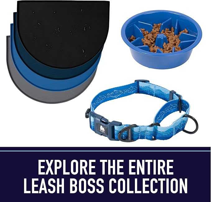 Leash Boss 10 Foot Dog Leash with Padded Handle - Long Leash for Hiking, Camping, Exploring, or Walking (10 Feet, Black/Red/Grey)