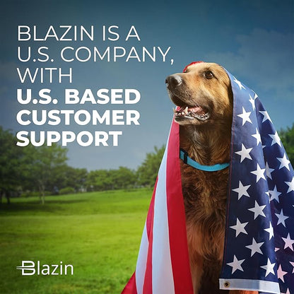 BLAZIN Reflective Dog Collar - Vibrant Color for Day and Night - Soft Neoprene Padded Collar - Adjustable Sizing -'Color Me Happy!' Dog Collars - Brighter Means Safer - (Medium, Pink)
