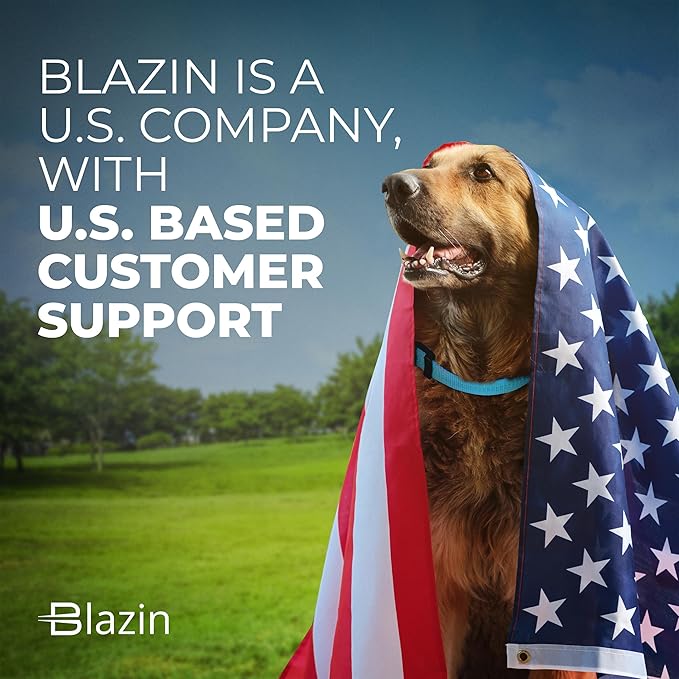 BLAZIN Reflective Dog Collar - Vibrant Color for Day and Night - Soft Neoprene Padded Collar - Adjustable Sizing -'Color Me Happy!' Dog Collars - Brighter Means Safer - (Small, Orange)