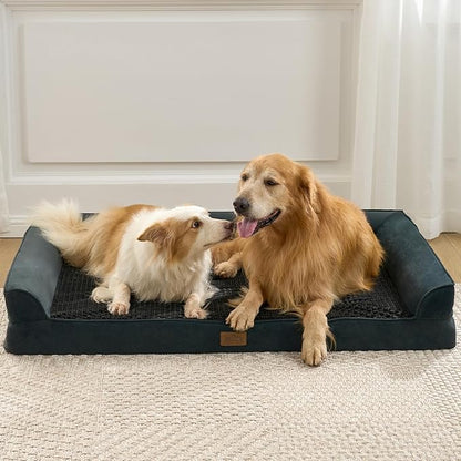 COZY KISS Orthopedic Dog Beds for Large Sized Dog, XL Bolster Pet Couch with Waterproof Lining, Egg Crate Foam Sofa for Pets Up to 100 lbs, U-Shaped, 44x32x7 inch, Black