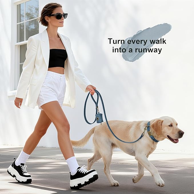 Didog Soft PU Leather Dog Collar, Stylish Quick Released Dog Collar for Large Dogs, Easy Clean Adjustable Pet Collar for Daily Walking, Blue, L Fit 15-23" Neck