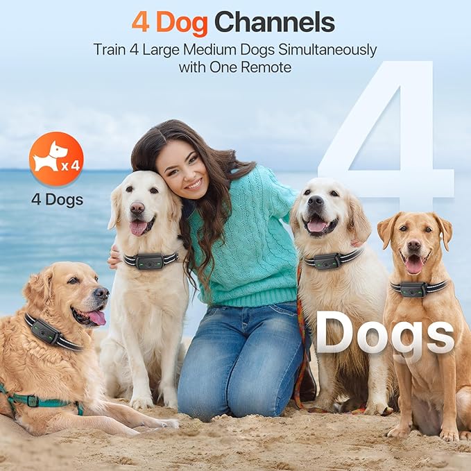 Dog Training Collar, Dog Shock Collar with Remote Control, Electric Shock Collar with 4 Training Modes, IP68 Waterproof Rechargeable e Collar for Large Medium Dogs with Beep Shock and Security Lock