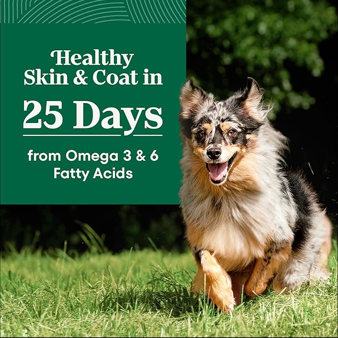 Nutro Natural Choice Adult Dry Dog Food, Chicken & Brown Rice Recipe, 13 lb. Bag